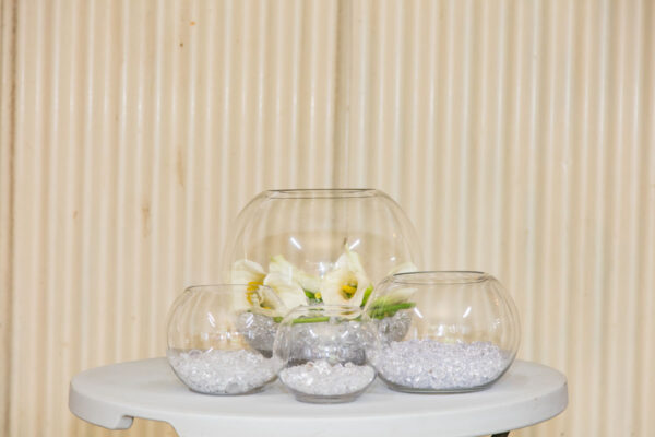 Fish bowl variety of sizes
