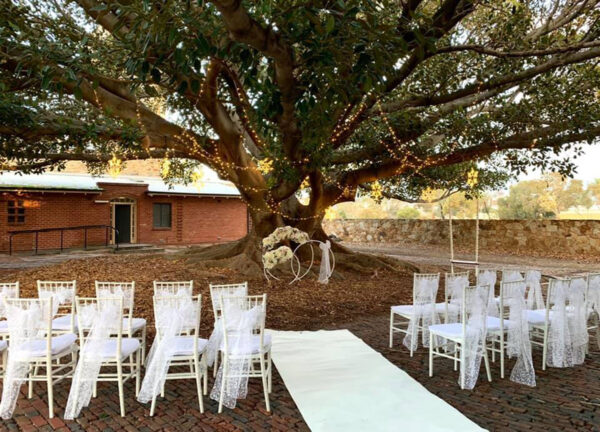 3 ring arch