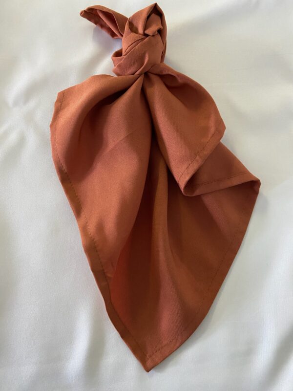 Napkins - terracotta linen