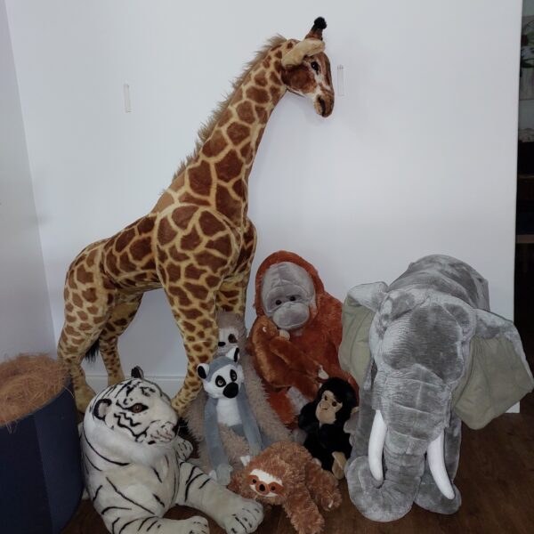 Animal plushies