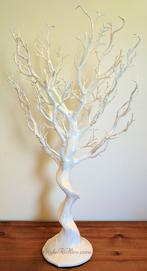 Manzanita white trees