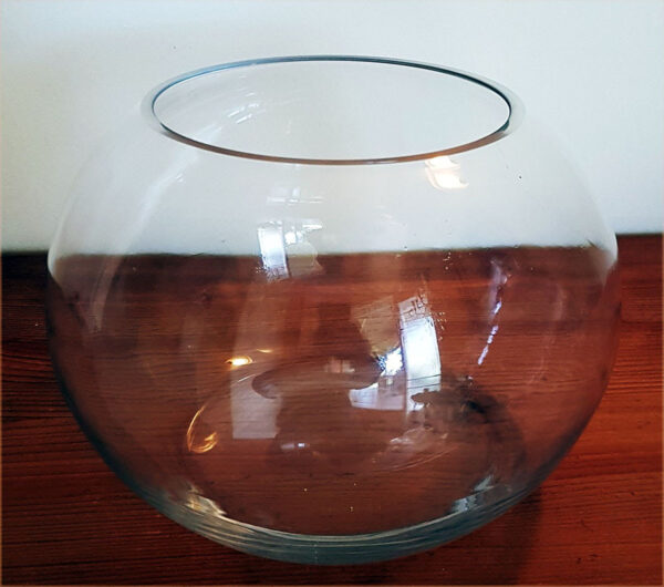 Small fish bowl